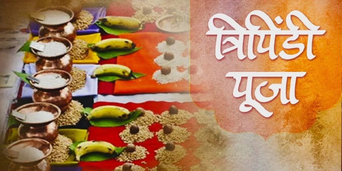 imgi_7_resize-1600072830573463332bc8-2-1