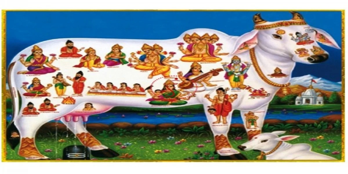 imgi_7_resize-16000823391927830639resize15992905081052636863cowdonation800x800watermark