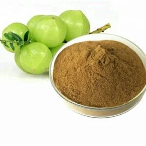 Amalaki - Emblica officinalis