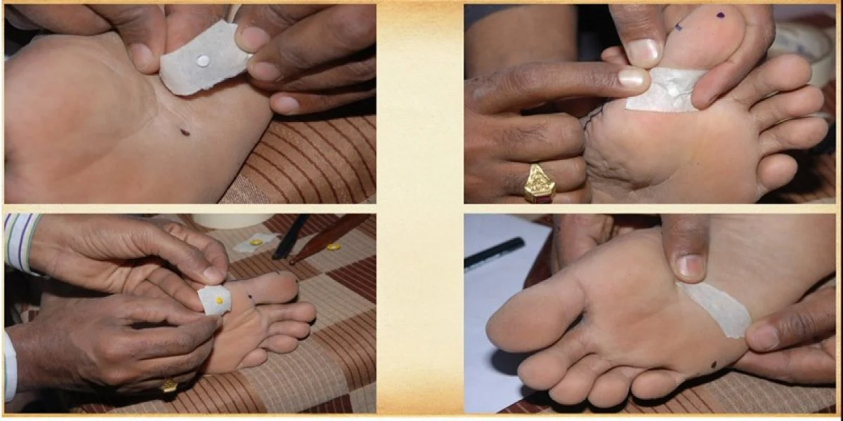 resize-1599819951122335505resize1599456554503936237Magnet