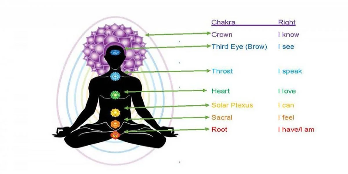 resize-15998205311975919390resize15994577081455301120chakraimage