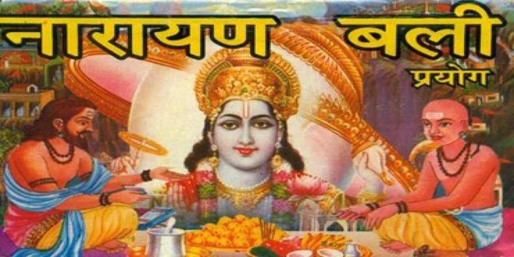 resize-1600072740991328306resize1598077541906760922nzg007-1-1-1024x512