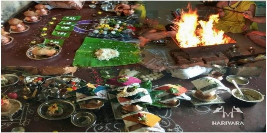 resize-1600072755905606636resize15980775601594961170editthispic-1024x512