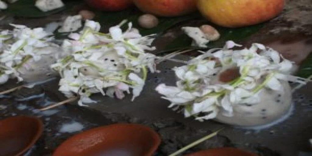 resize-16000728961923984161unnamed-1024x512