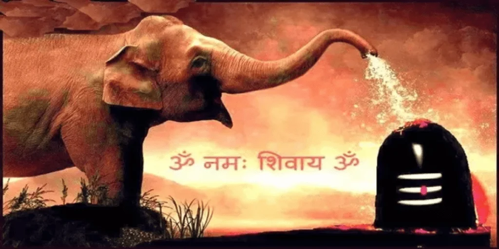 resize-16000733341196059908resize1598078005940328520mainqimg4bc8f5ce3c4da1d1008d8b664d92859b-1024x512