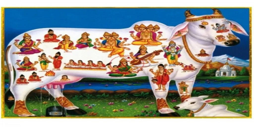 resize-16000823391927830639resize15992905081052636863cowdonation800x800watermark-1024x512