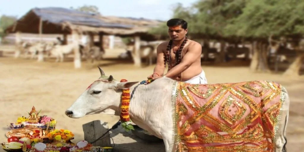 resize-16000823531349306741resize1599290536569736855cowdonationgaudan-1024x512