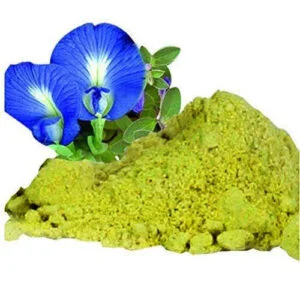 Sankha puspi - Convolvulus pluricaulis